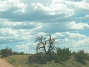 ghost ranch, new mexico